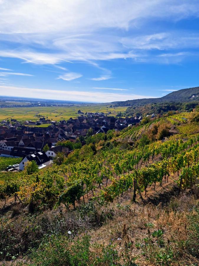 Gite Entre Vignes Et Vergers Maison Historique Gueberschwihr Exterior foto